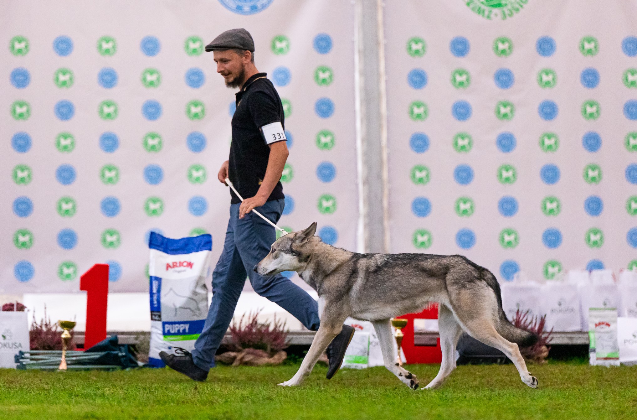 CACIB Wystawa Rybnik