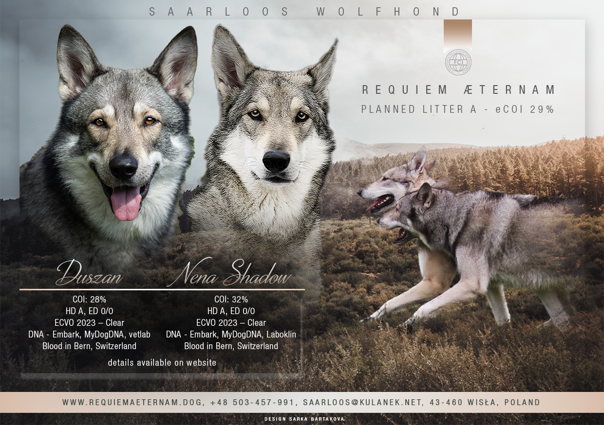 Miot A Requiem Aeternam FCI